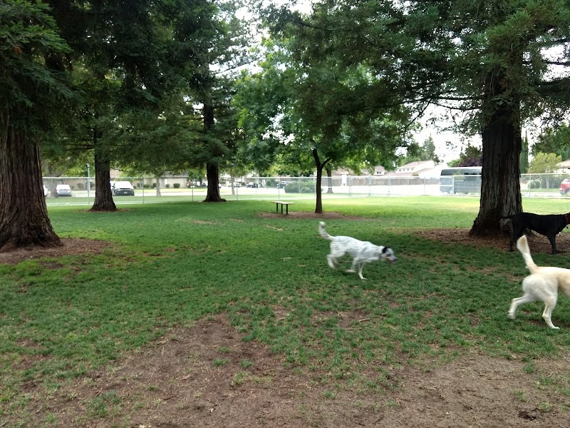 Manteca Dog Park & Training — photo 2, Manteca, CA