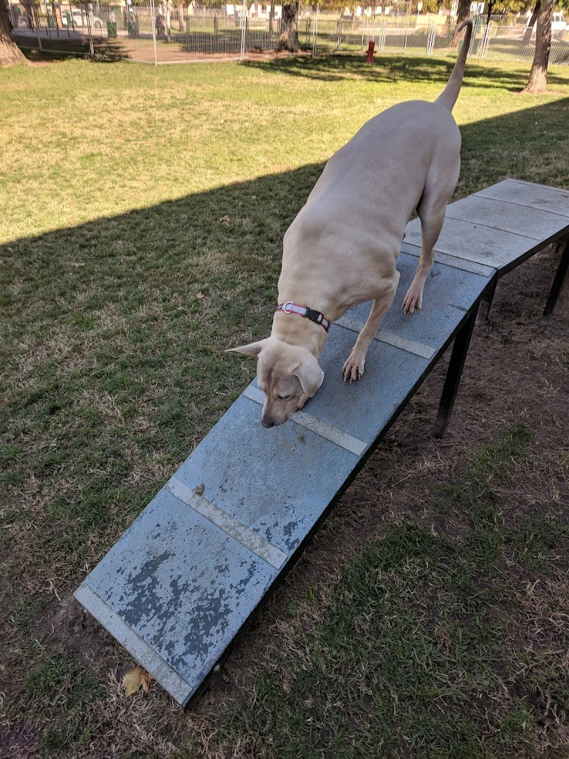 Manteca Dog Park & Training — photo 4, Manteca, CA