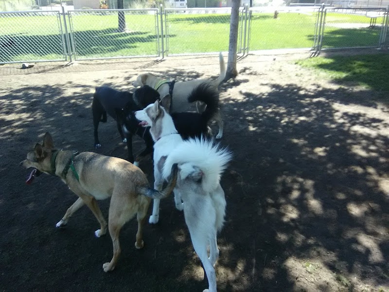 Manteca Dog Park & Training — photo 5, Manteca, CA