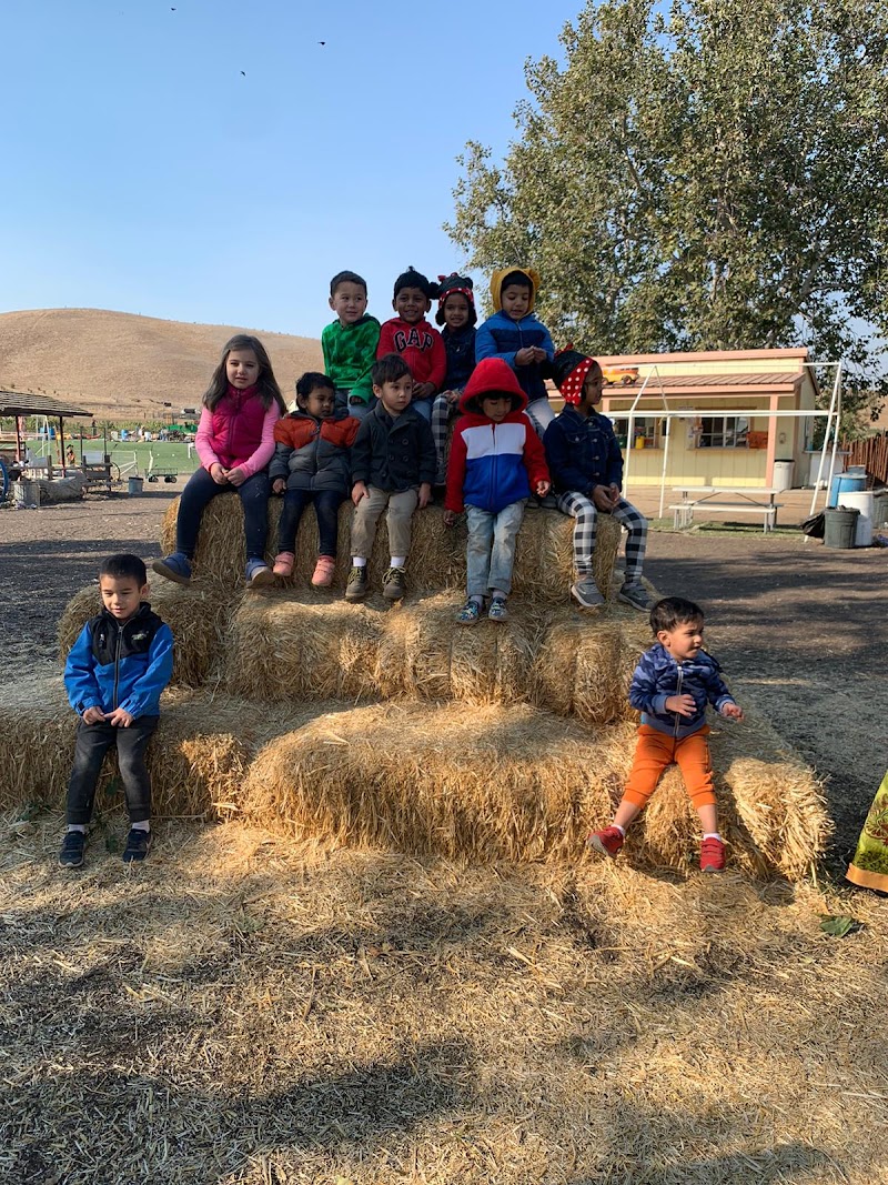 Little Champs Preschool & Extended Care — photo 4, Mountain House, CA