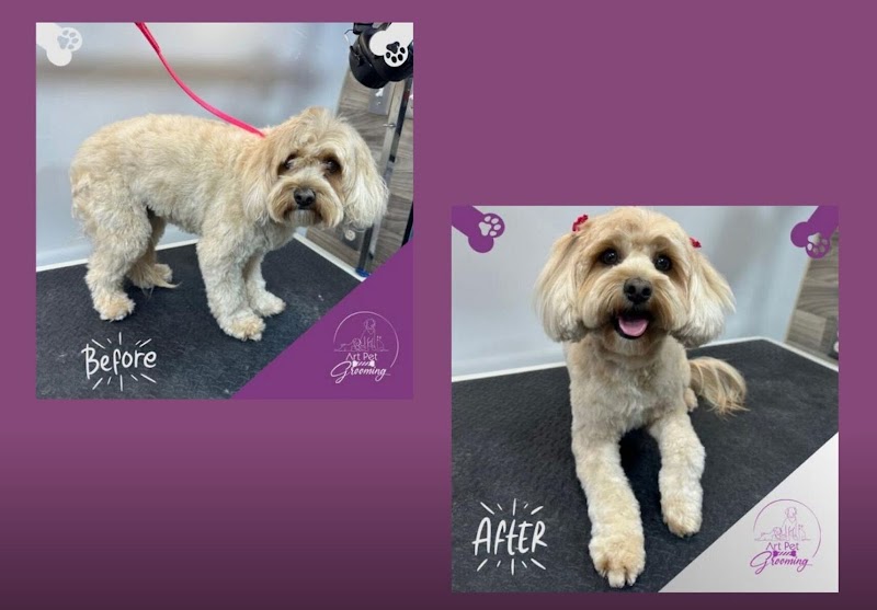Lathrop Pet Grooming Studio — photo 2, Lathrop, CA