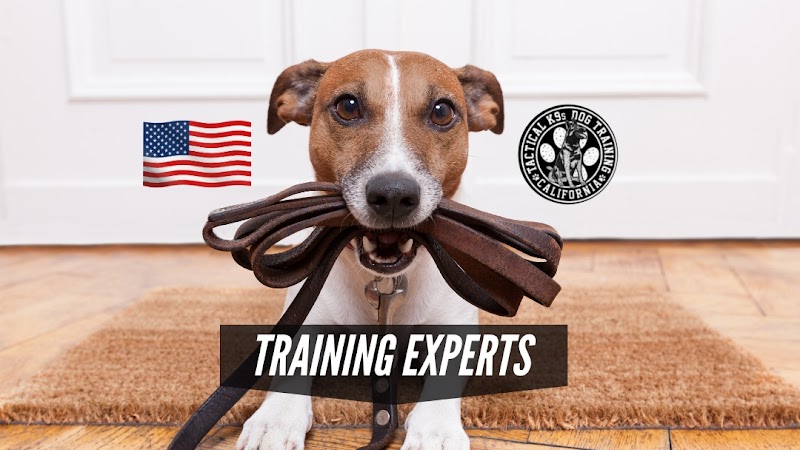Tracy Dog Training Academy
