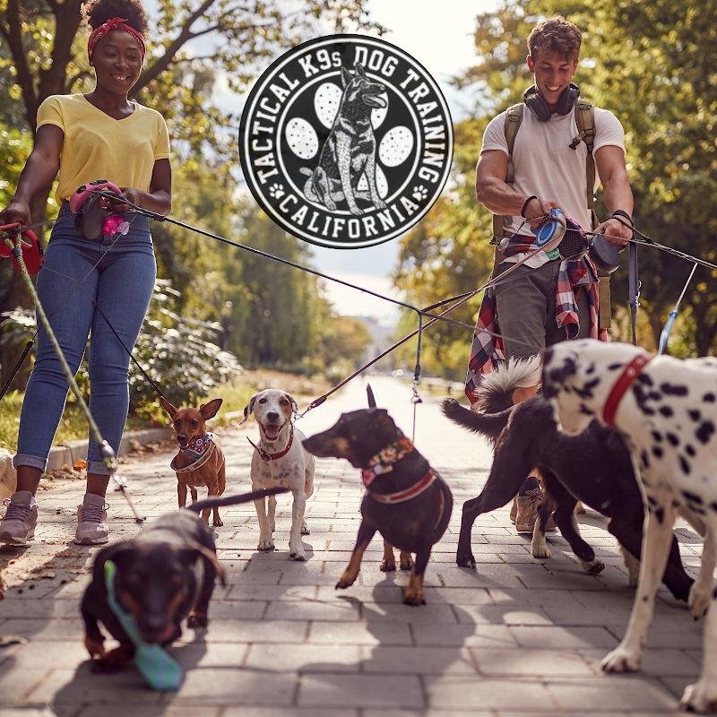 Tracy Dog Training Academy — photo 2, Tracy, CA