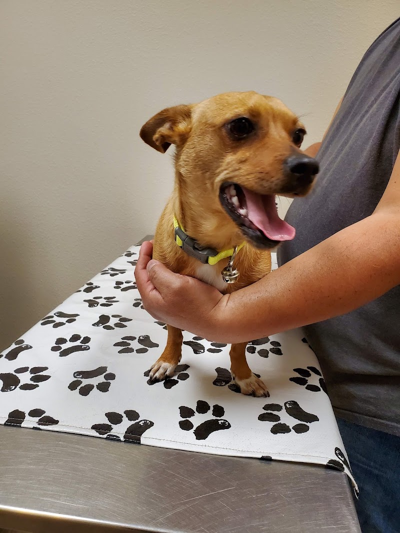 Manteca Veterinary Clinic