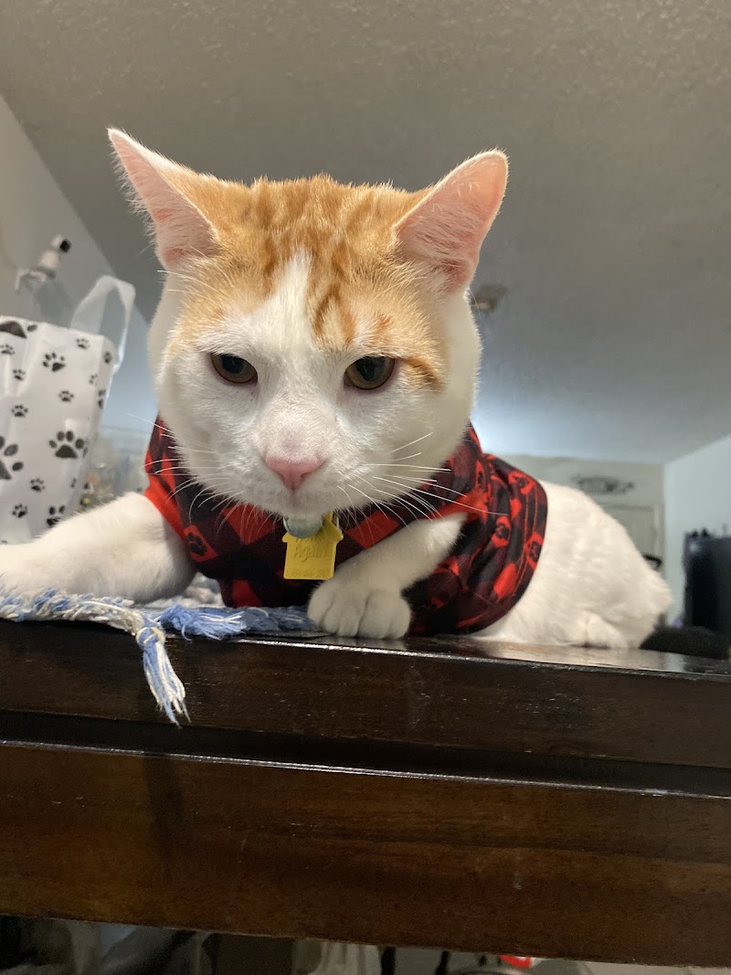 Manteca Veterinary Clinic — photo 2, Manteca, CA