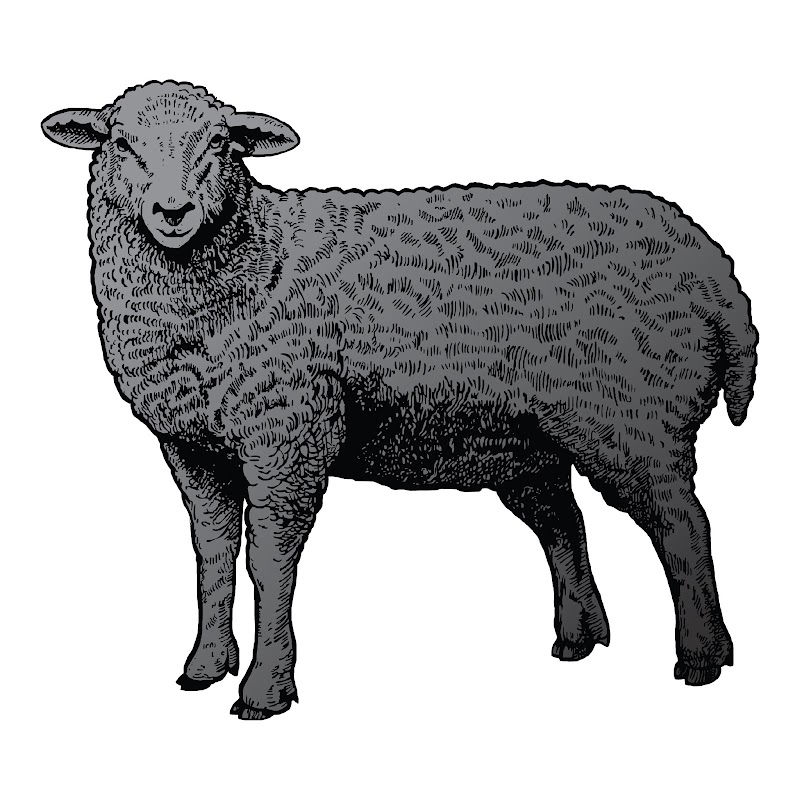 Black Sheep Brasserie — photo 3, San Jose, CA