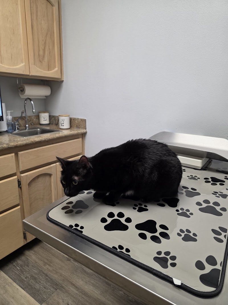 Brentwood Exotic Pet Hospital — photo 5, Brentwood, CA