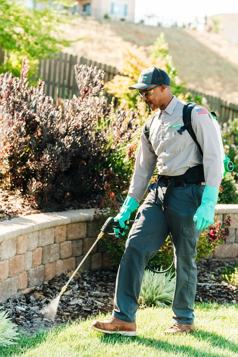 Green Valley Pest Control — Tracy — photo 3, Tracy, CA