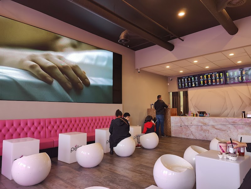 Pekoe — photo 4, Sunnyvale, CA