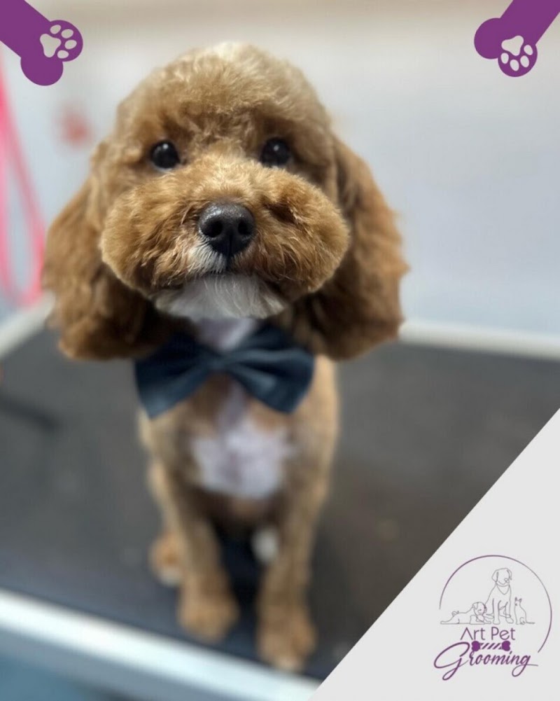 River Islands Pet Grooming — photo 4, Lathrop, CA