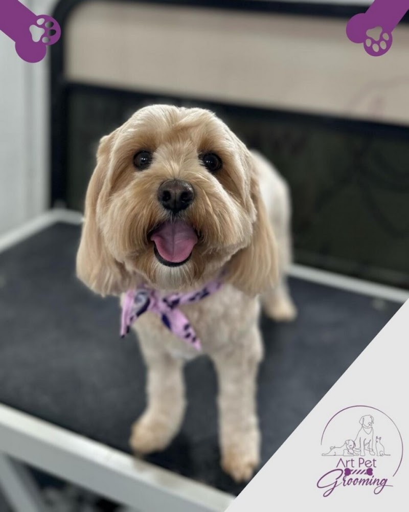 River Islands Pet Grooming — photo 5, Lathrop, CA