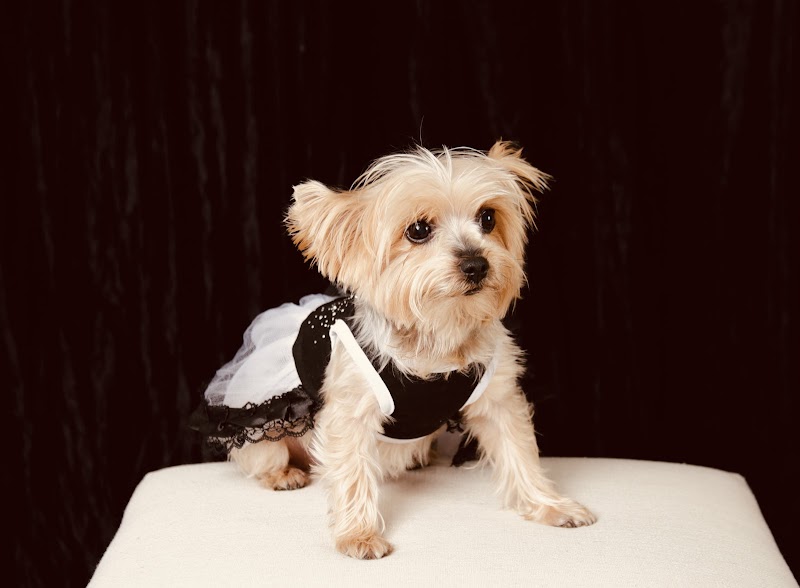 Tracy Veterinary Clinic