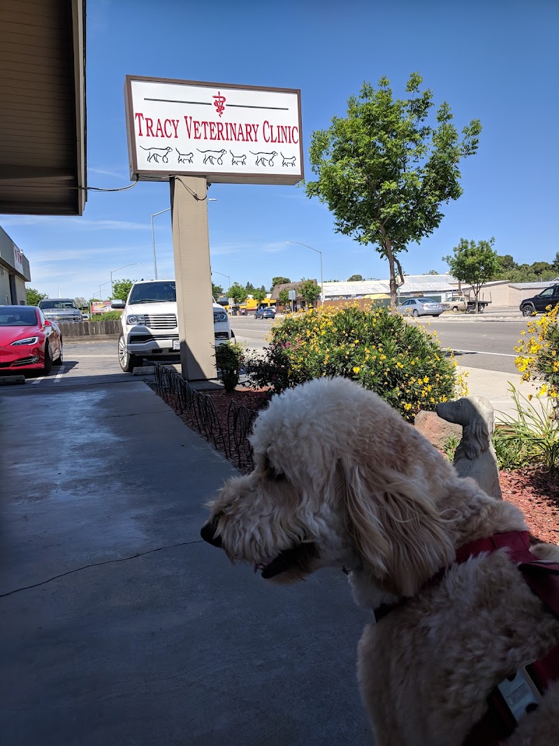 Tracy Veterinary Clinic — photo 2, Tracy, CA