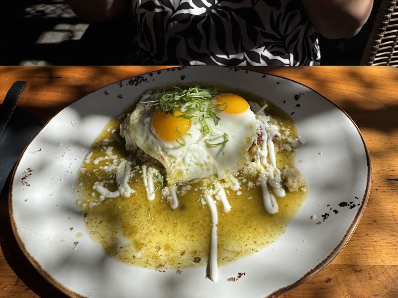 Zazil — photo 5, San Jose, CA