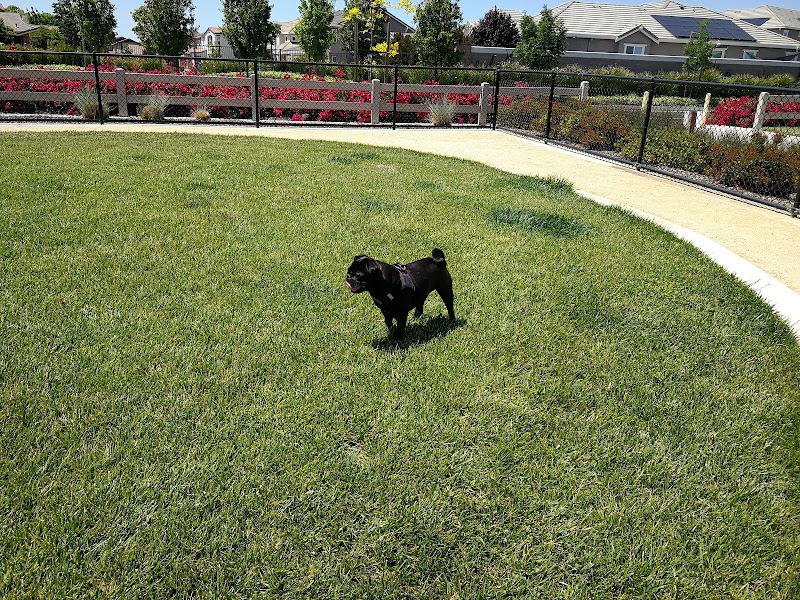 Brentwood Dog Park — photo 2, Brentwood, CA