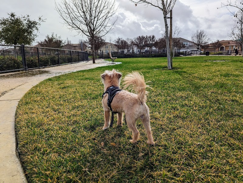 Brentwood Dog Park — photo 4, Brentwood, CA