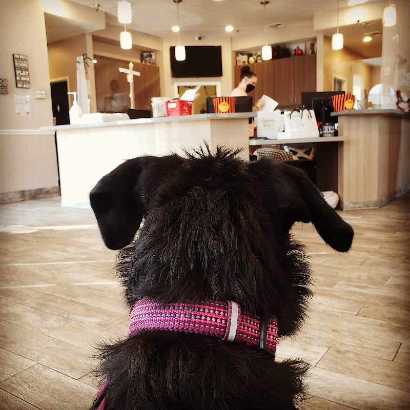 Central Valley Vet Manteca — photo 2, Manteca, CA