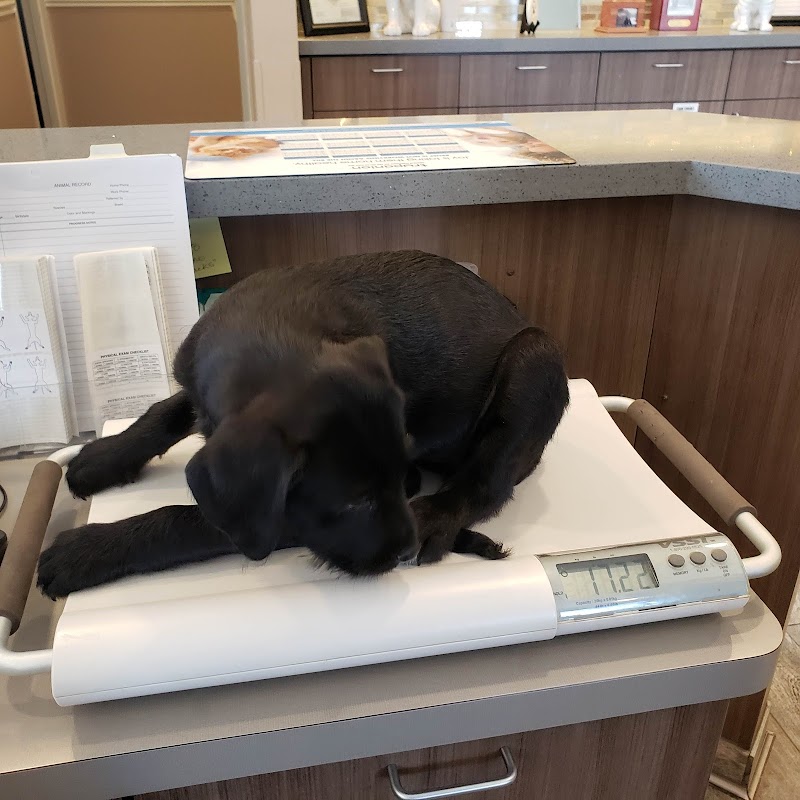 Central Valley Vet Manteca — photo 3, Manteca, CA