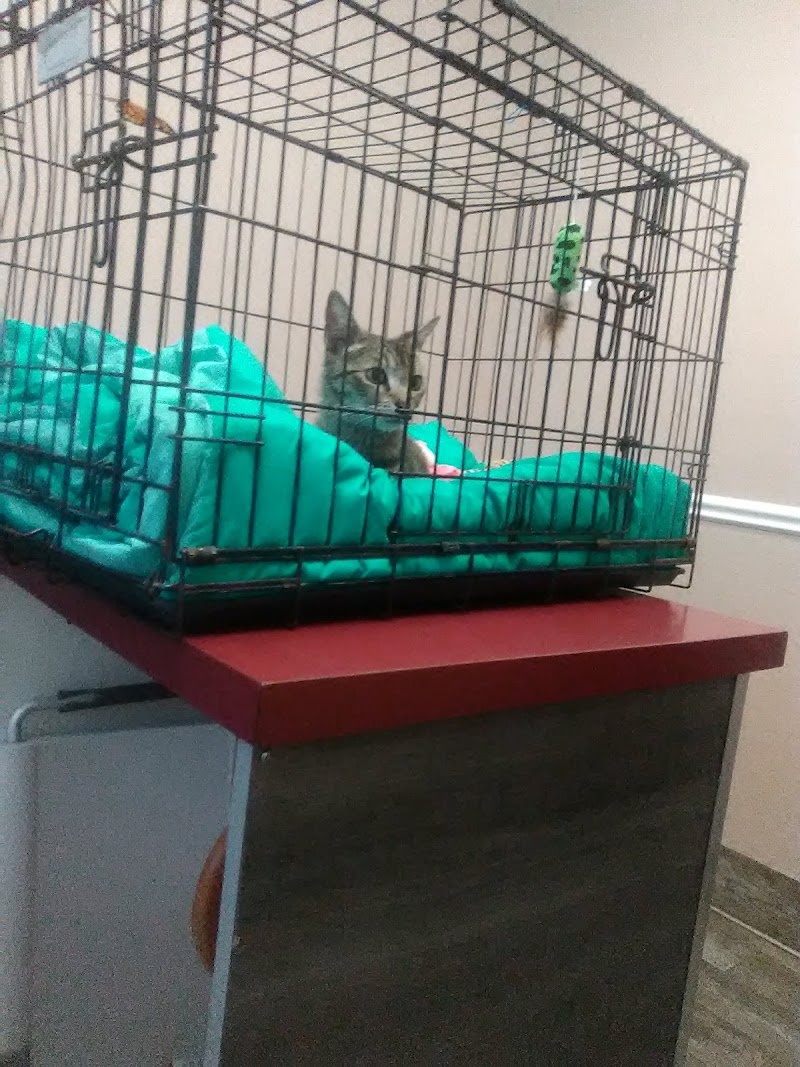 Central Valley Vet Manteca — photo 4, Manteca, CA