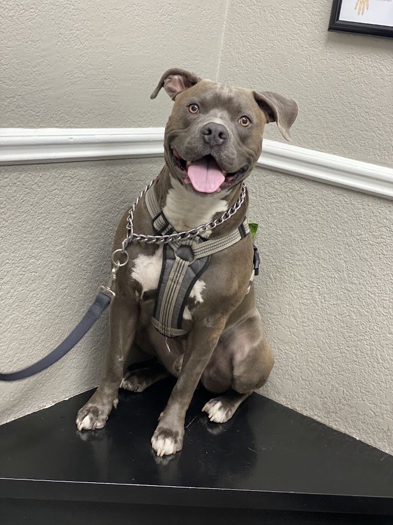 Central Valley Vet Manteca — photo 5, Manteca, CA