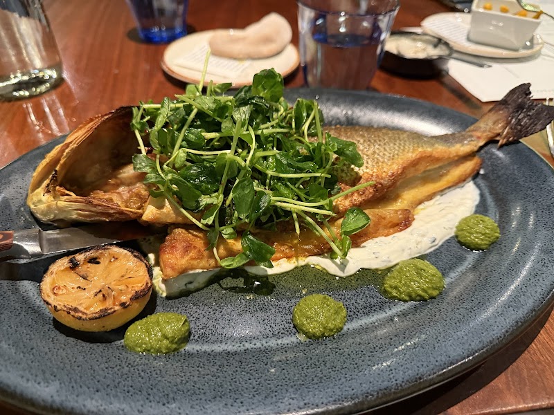 Meso Modern Mediterranean — photo 3, San Jose, CA