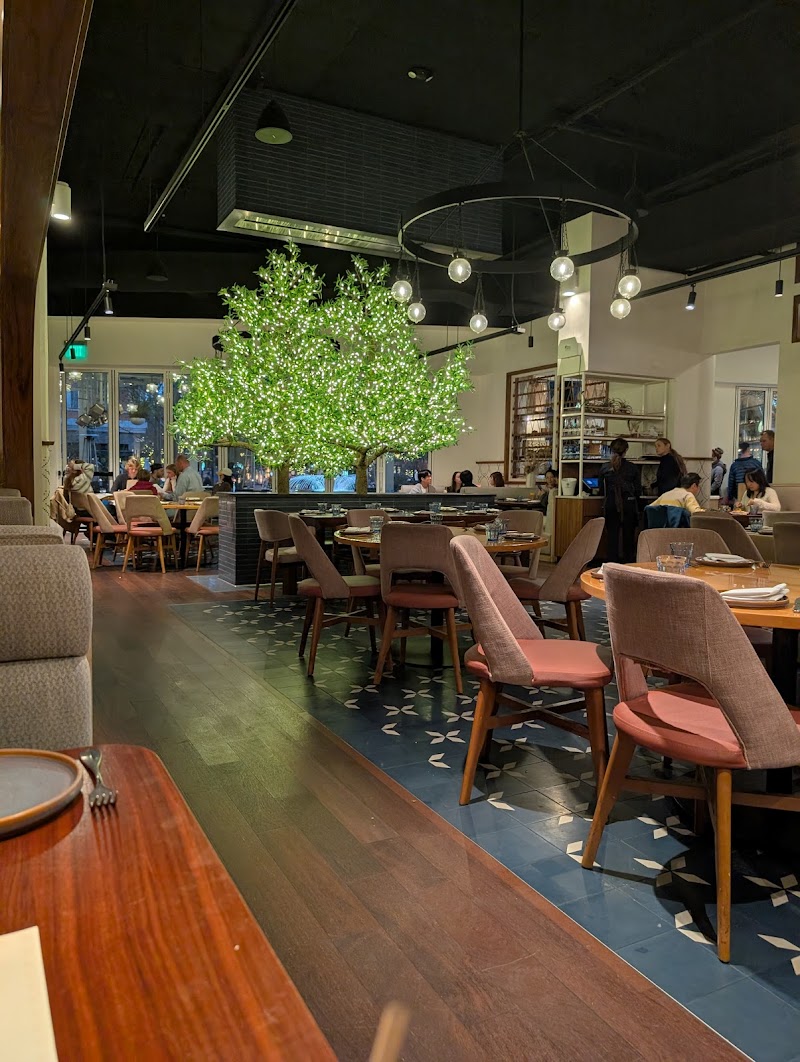 Meso Modern Mediterranean — photo 5, San Jose, CA