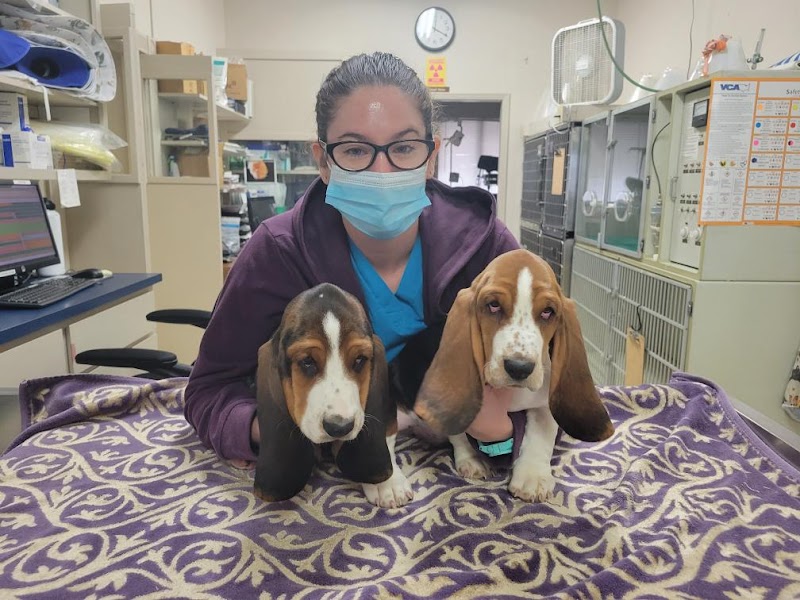 VCA Tracy Animal Hospital — photo 4, Tracy, CA