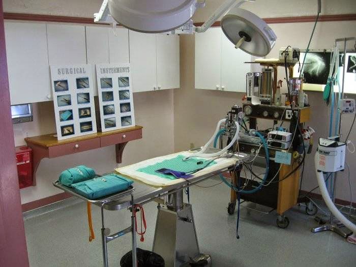 VCA Tracy Animal Hospital — photo 5, Tracy, CA