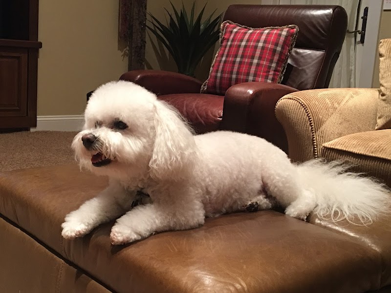 VCA Brentwood Animal Hospital — photo 3, Brentwood, CA