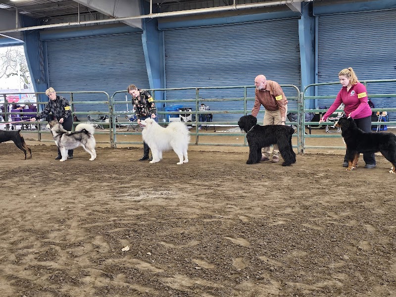 Lathrop Veterinary Clinic — photo 2, Lathrop, CA