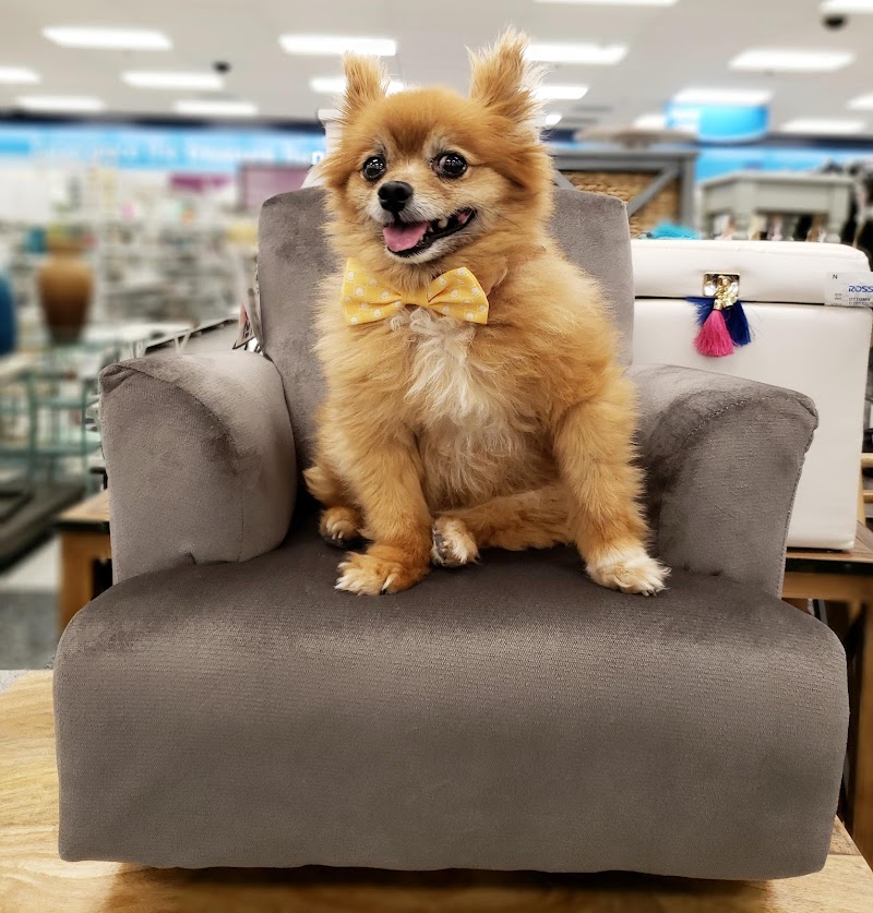 Ross Dress for Less Manteca — photo 3, Manteca, CA