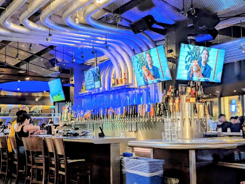 Yard House — photo 4, San Jose, CA