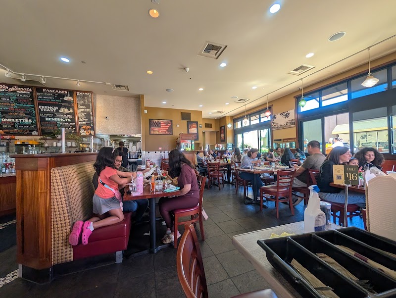 Crepevine — photo 5, San Jose, CA