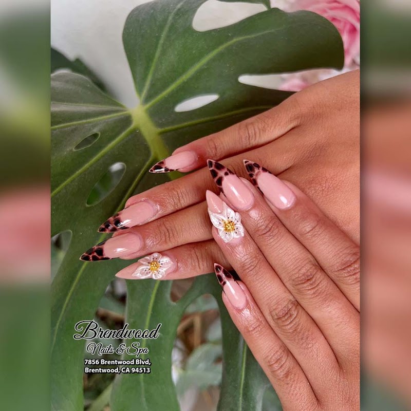 Brentwood Nail Bar — photo 4, Brentwood, CA