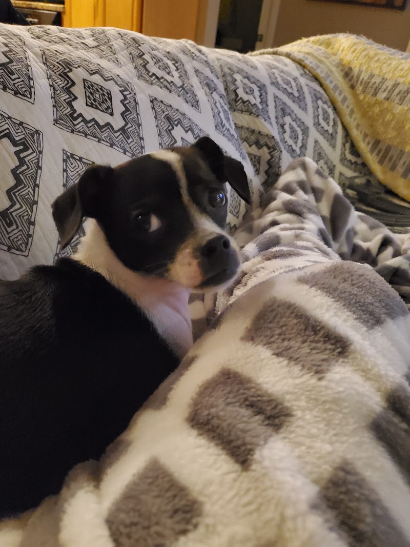 Petco Manteca — photo 4, Manteca, CA