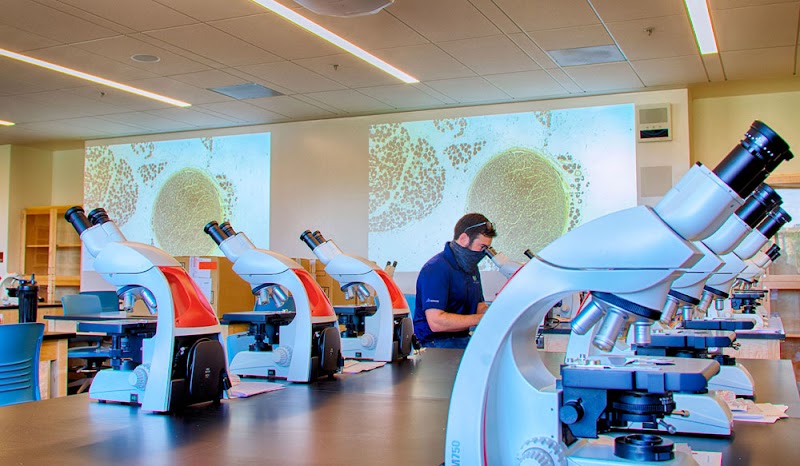 Los Medanos College Brentwood Center — photo 4, Brentwood, CA