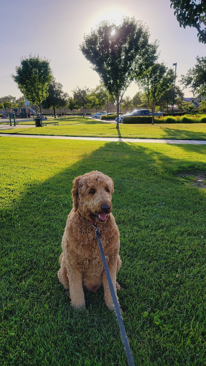 Mossdale Elementary School — photo 5, Lathrop, CA
