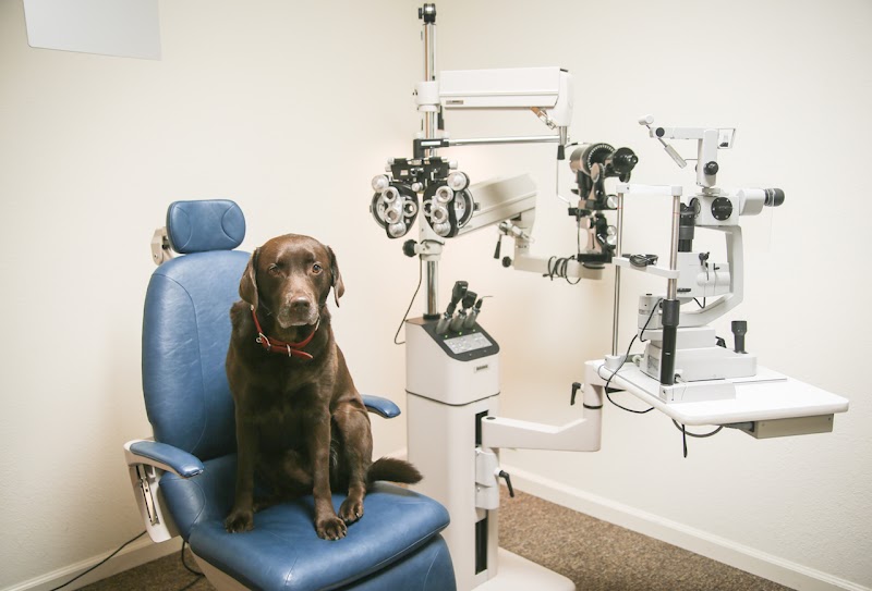 Manteca Eye Care Center — photo 4, Manteca, CA