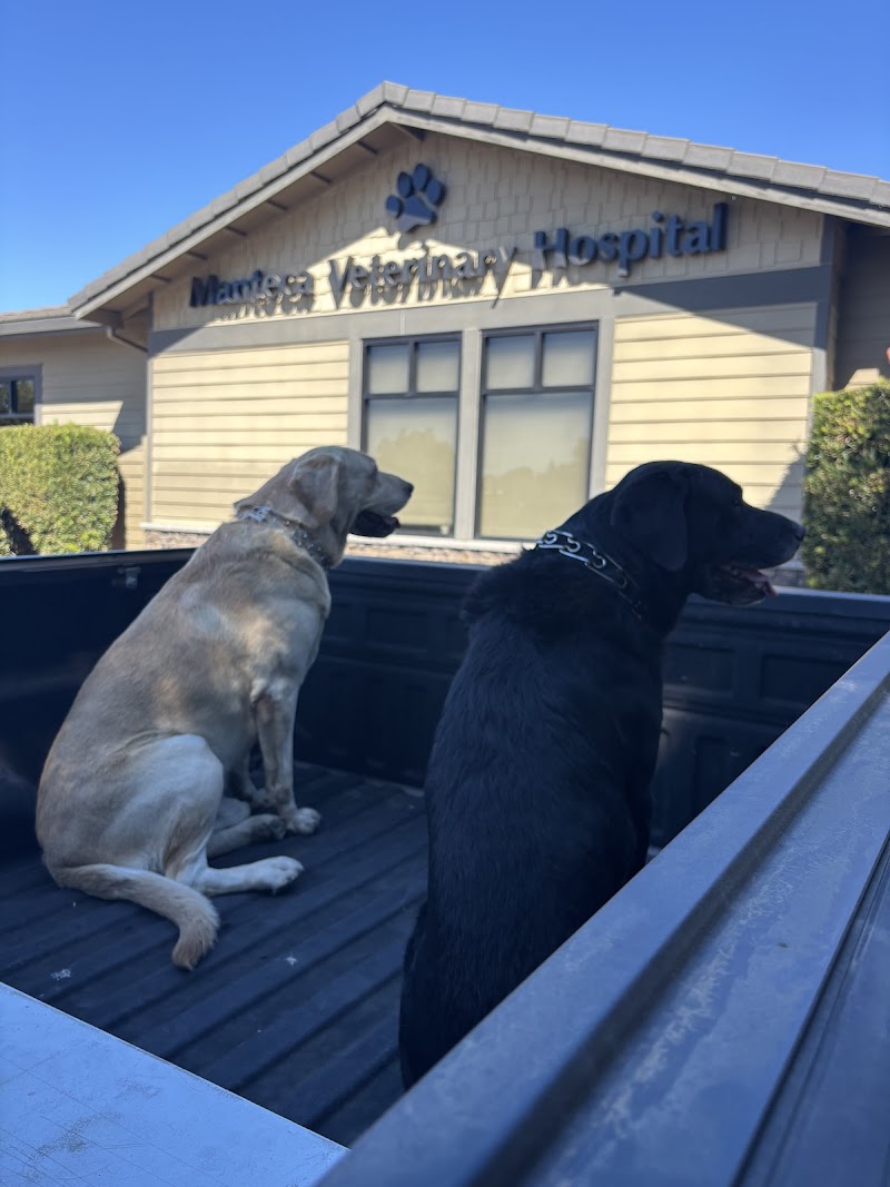 Manteca Animal Hospital — photo 3, Manteca, CA