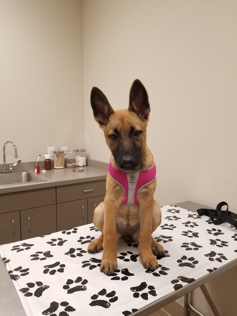 Manteca Animal Hospital — photo 4, Manteca, CA