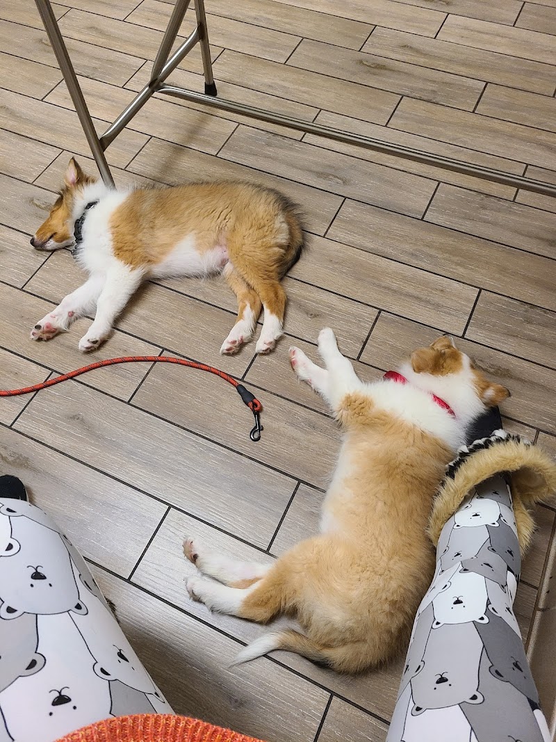 Manteca Animal Hospital — photo 5, Manteca, CA