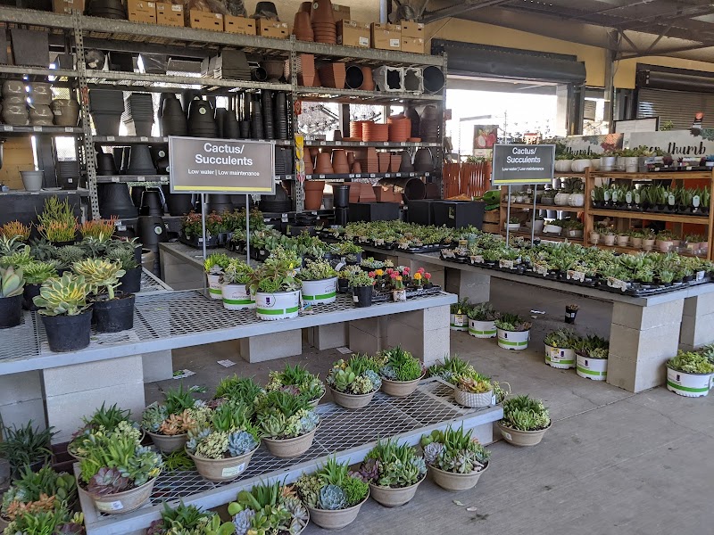 The Home Depot Brentwood — photo 4, Brentwood, CA