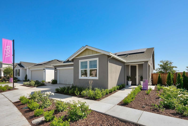 Manteca Farmers Market Collective — photo 4, Manteca, CA