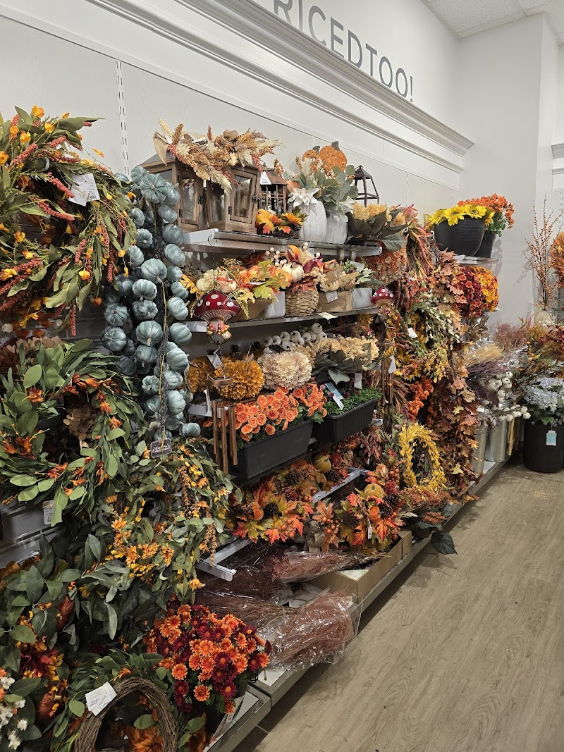 HomeGoods Brentwood — photo 5, Brentwood, CA