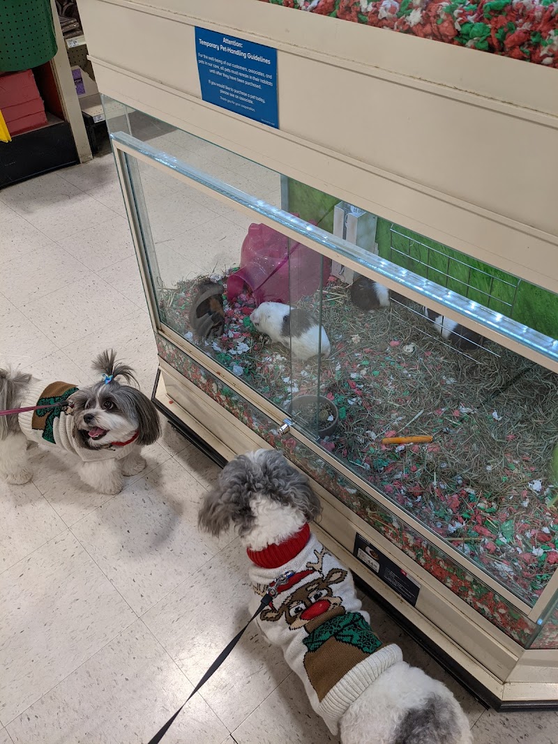 PetSmart Tracy — photo 2, Tracy, CA
