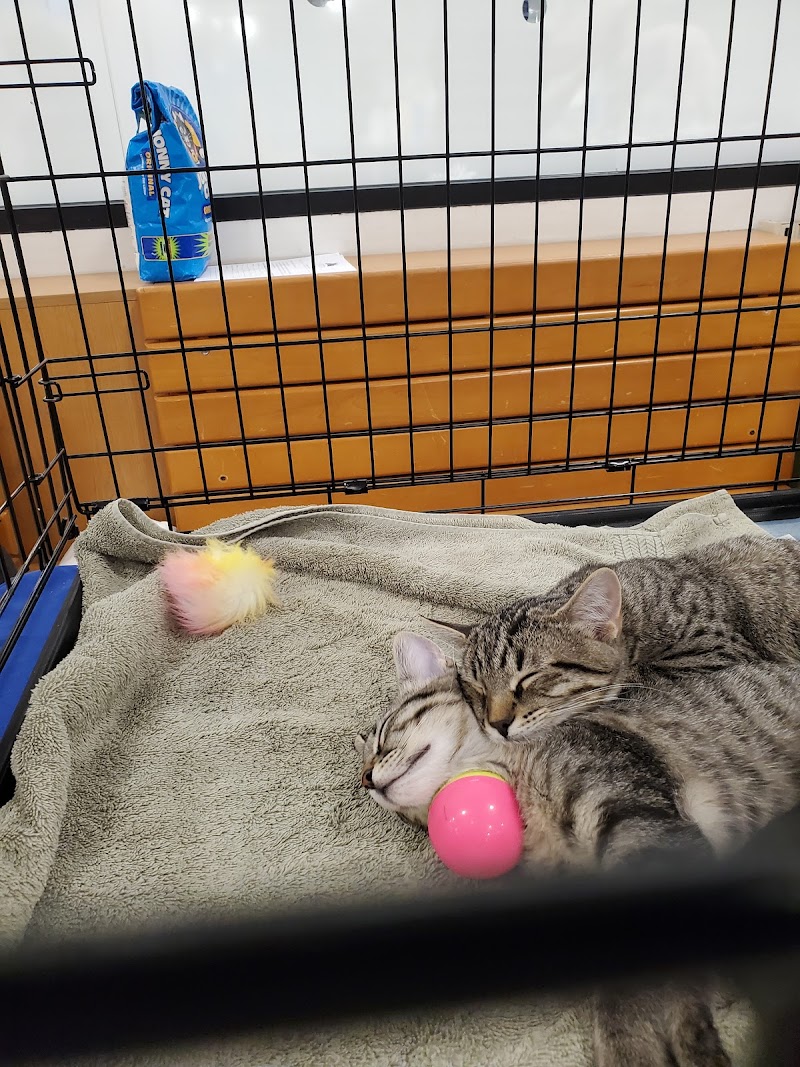 PetSmart Tracy — photo 3, Tracy, CA