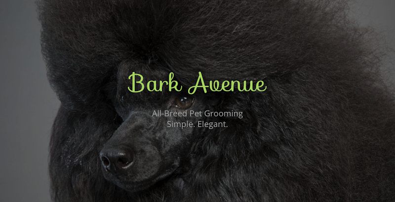 Bark Avenue Pet Grooming — photo 1, Tracy, CA