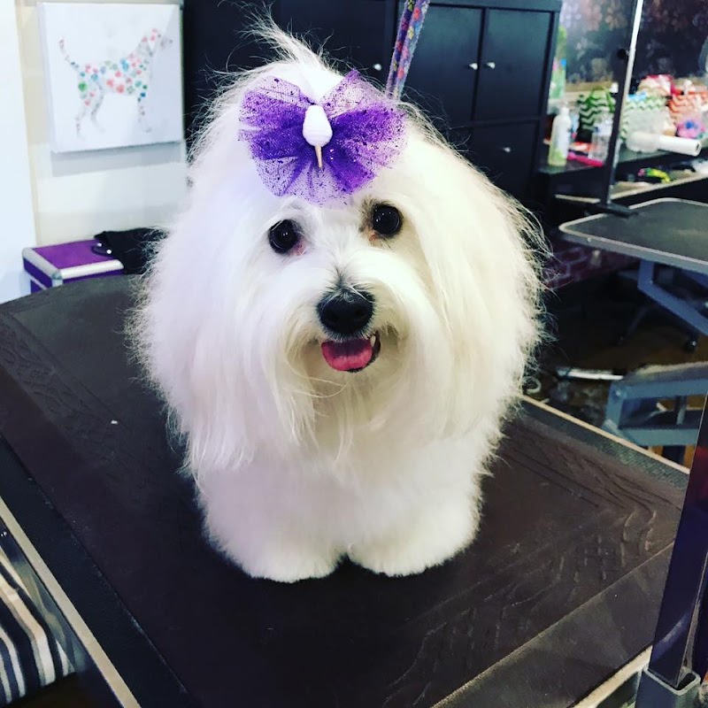 Bark Avenue Pet Grooming