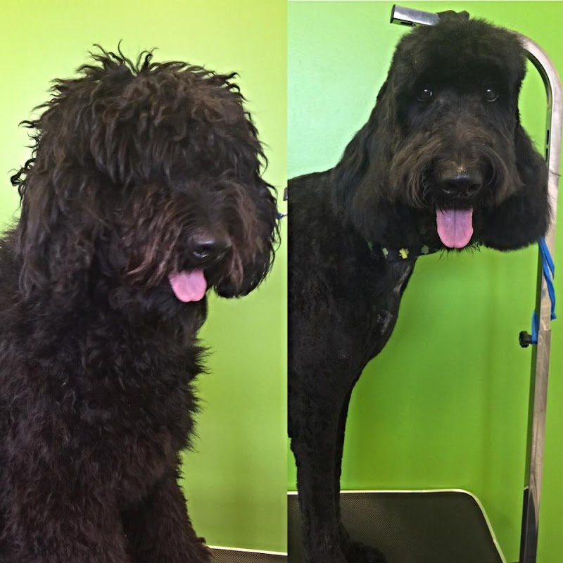 Bark Avenue Pet Grooming — photo 5, Tracy, CA