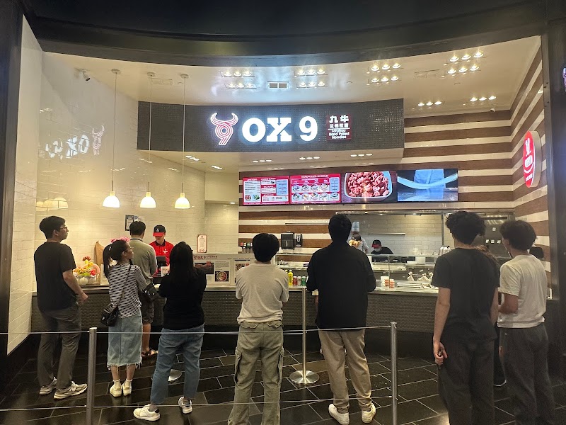 Lanzhou Hand Pulled Noodles